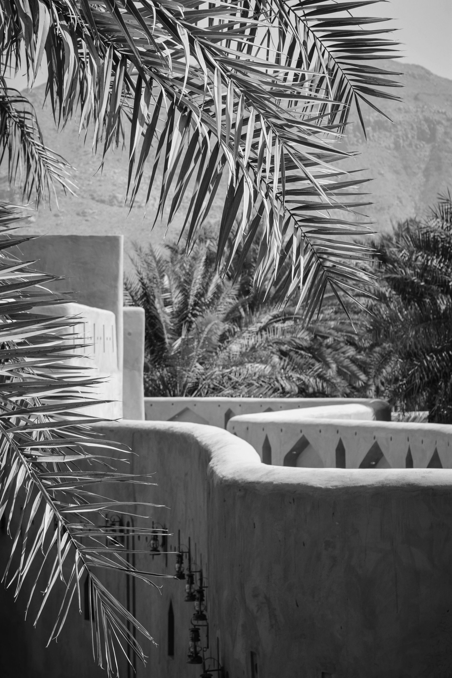 Do You Need a UAE Will? Expat Estate Planning Explained