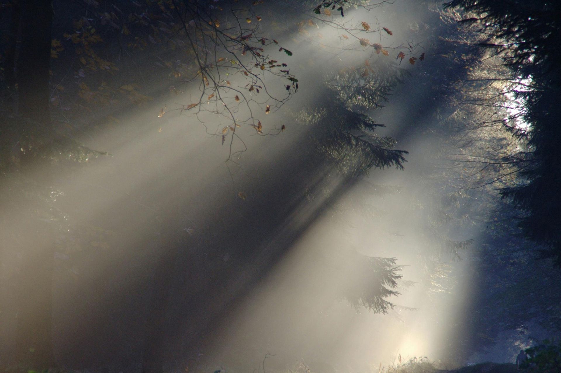 UK Lasting Power of Attorney